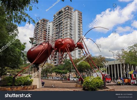 bucaramanga porn